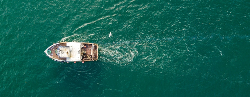 fishing boat picture from above