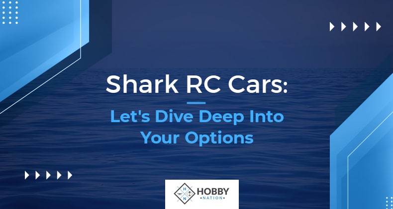 Shark RC Cars: Let's Dive Deep Into Your Options