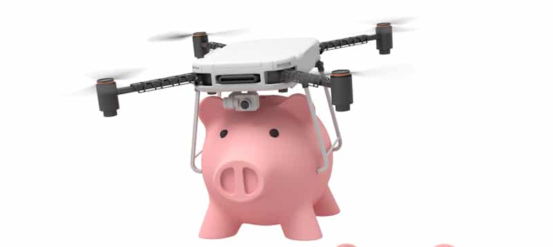 pig drone