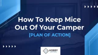 How To Keep Mice Out Of Your Camper [PLAN OF ACTION]